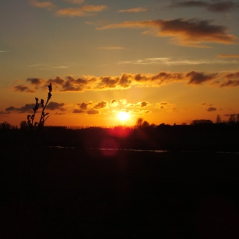Round xlarge 2001 netherlands sunset